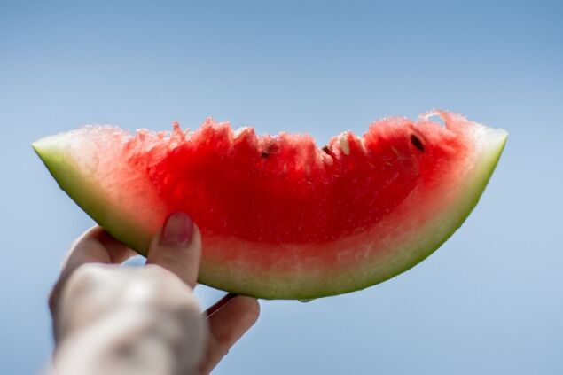 Anymelon iberi